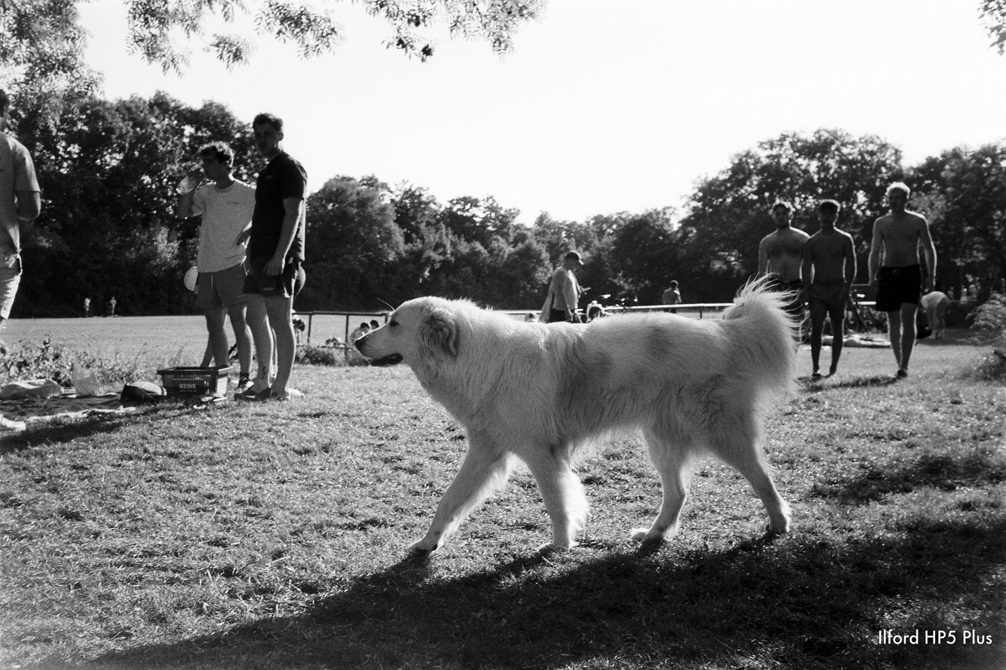 35mm - Schwarzweiß | Entwicklung, Scans, Abzüge