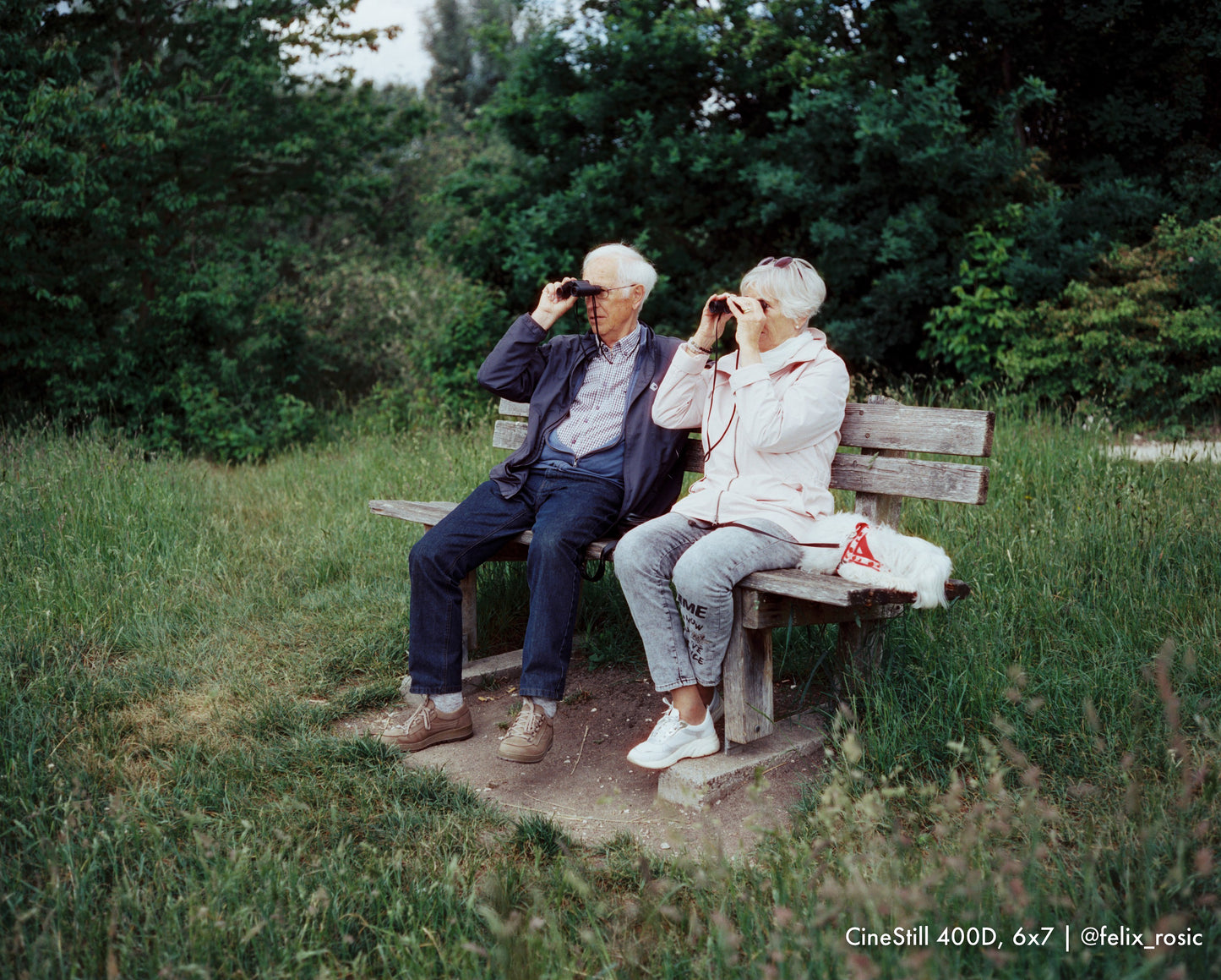 Medium Format - C41, Farbnegativ | Entwicklung, Scans, Abzüge