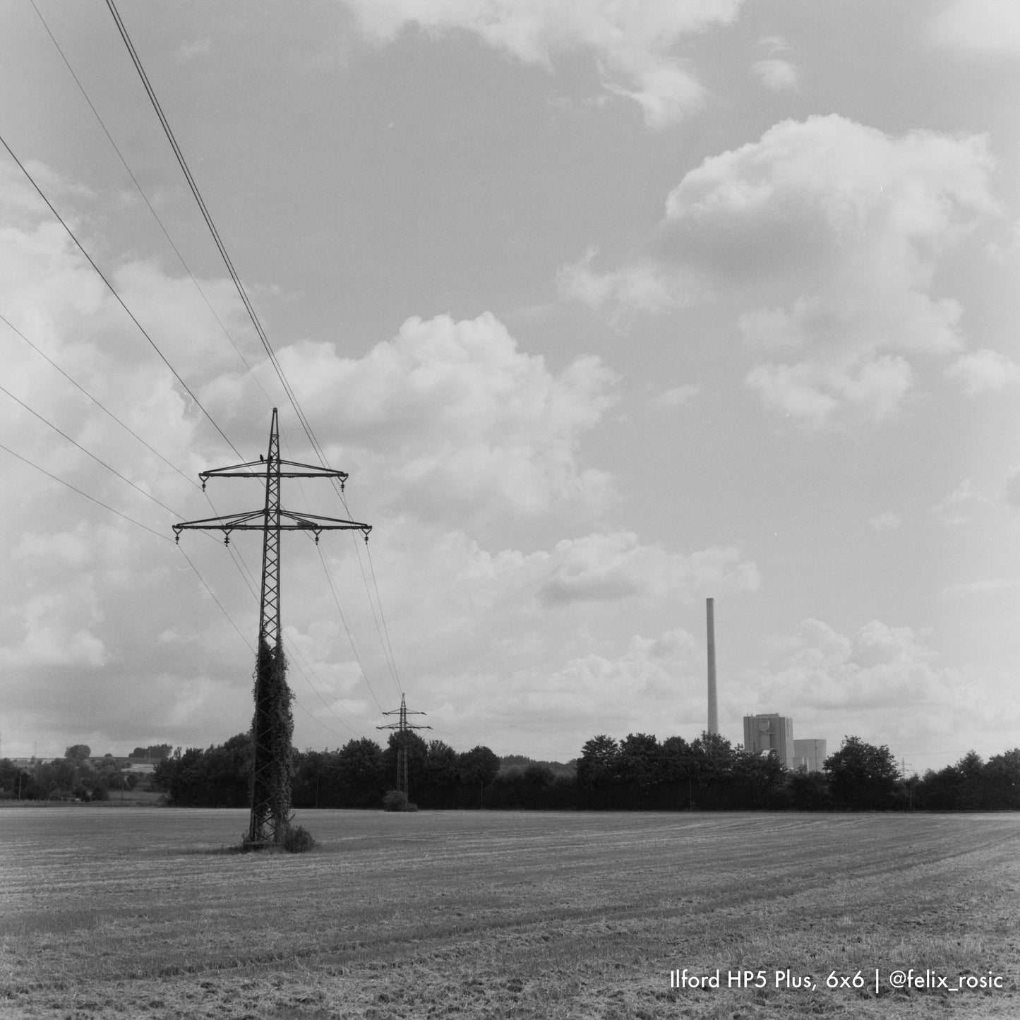 Medium Format - Schwarzweiß | Entwicklung, Scans, Abzüge
