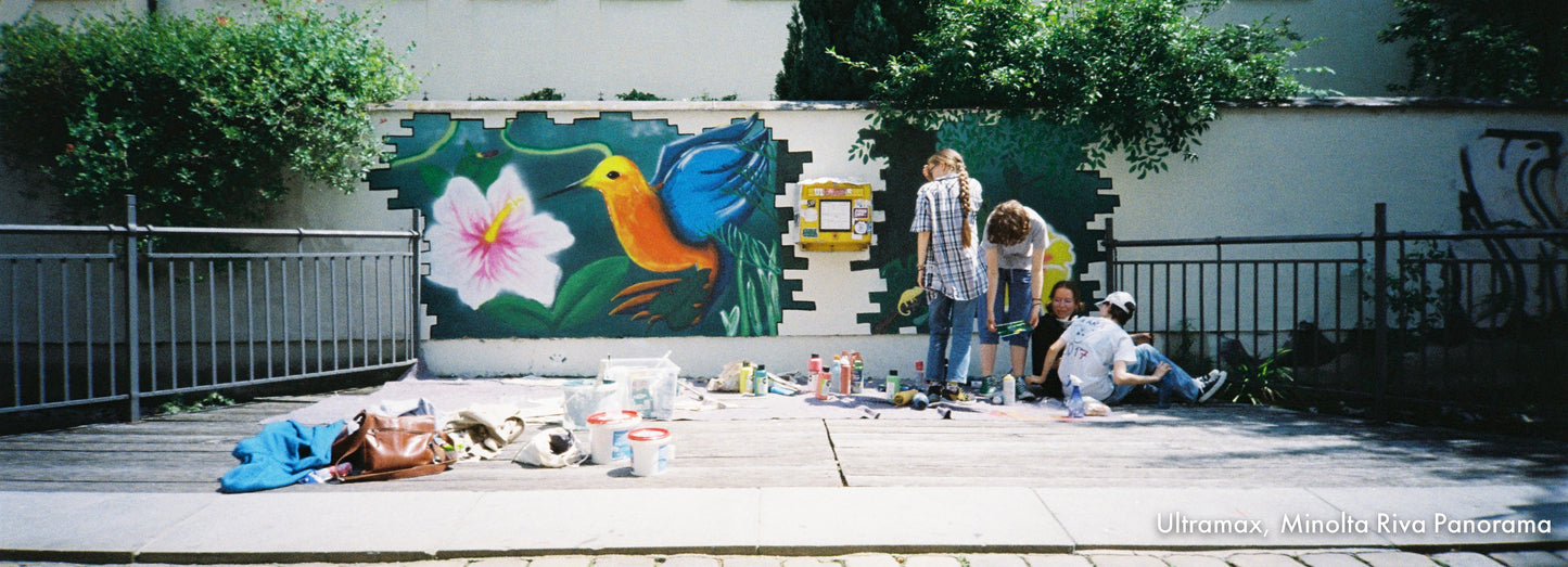 35mm - C41, Farbnegativ | Entwicklung, Scans, Abzüge